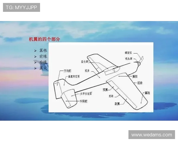 飞机机身结构的先进胶接工艺研究